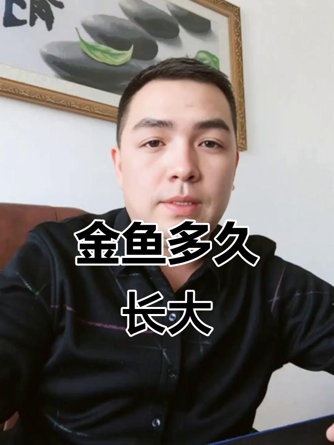 金鱼从三厘米到成鱼的成长过程,五六个月能长多大?