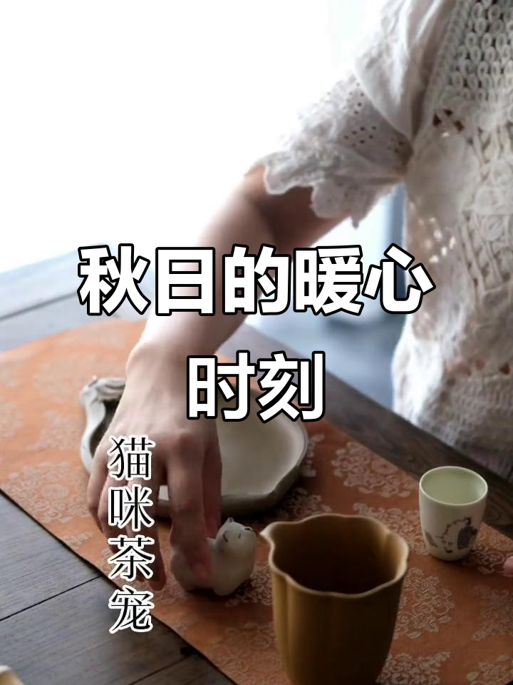 秋日午后,一杯香气扑鼻的肉桂茶,心情瞬间明媚起来