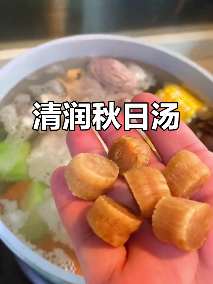 秋季必备汤品,清甜滋润,合掌瓜玉米胡萝卜搭配超赞!