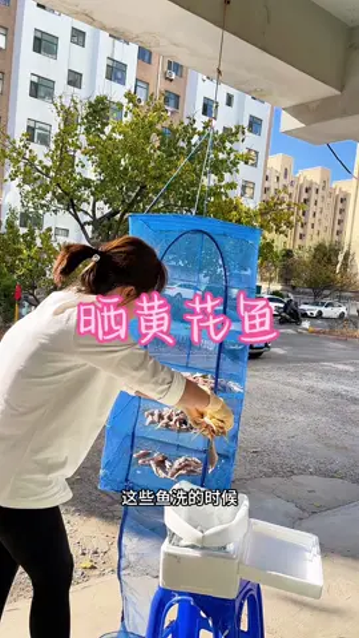 这样炖鲅鱼不腥家庭主妇的一早上,晒完黄花鱼换身衣服去上班