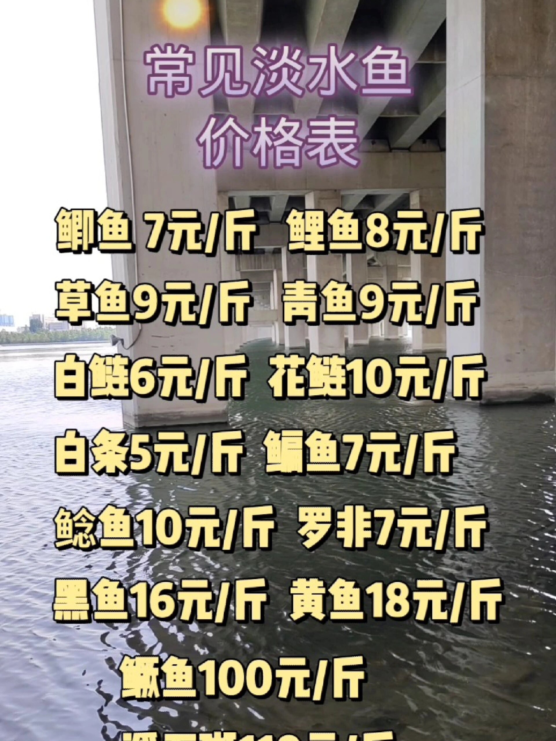淡水鱼的价格表