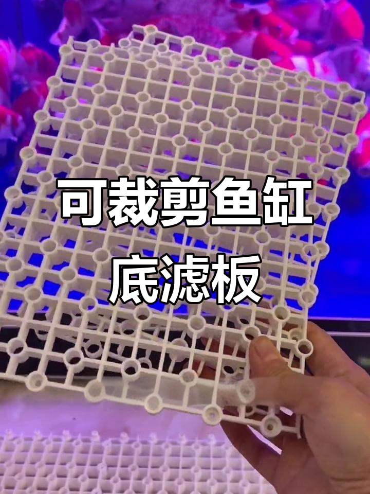 鱼缸底滤板轻松裁剪,水流更顺畅,培菌效果更强
