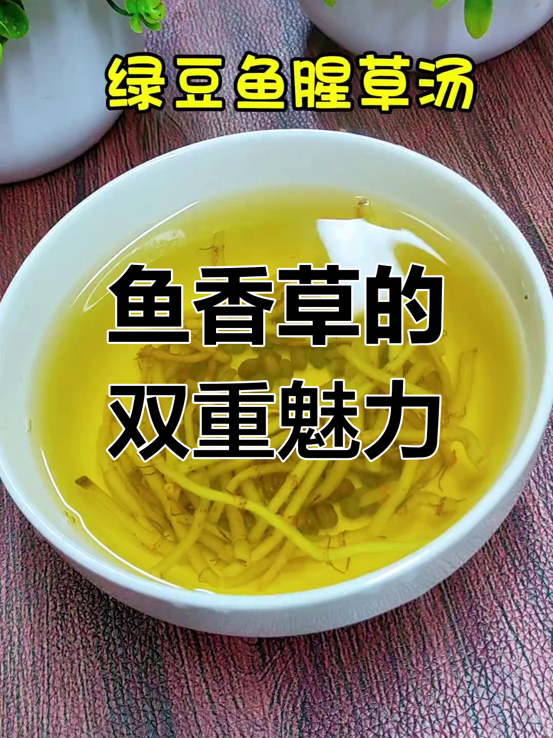 鱼香草气味独特,爱者痴迷,厌者避之不及