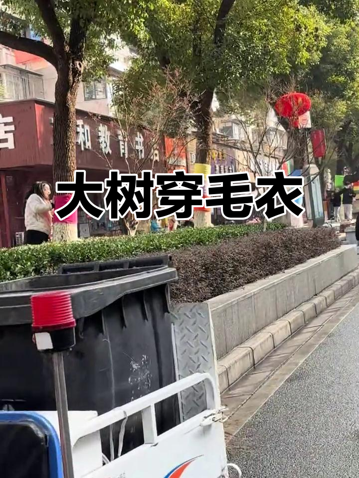 武汉大树穿上毛衣,温暖又可爱,真是治愈的冬日风景!