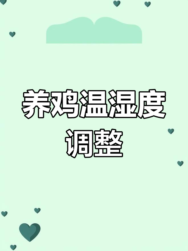 肉鸡养殖温度与风机设置回顾