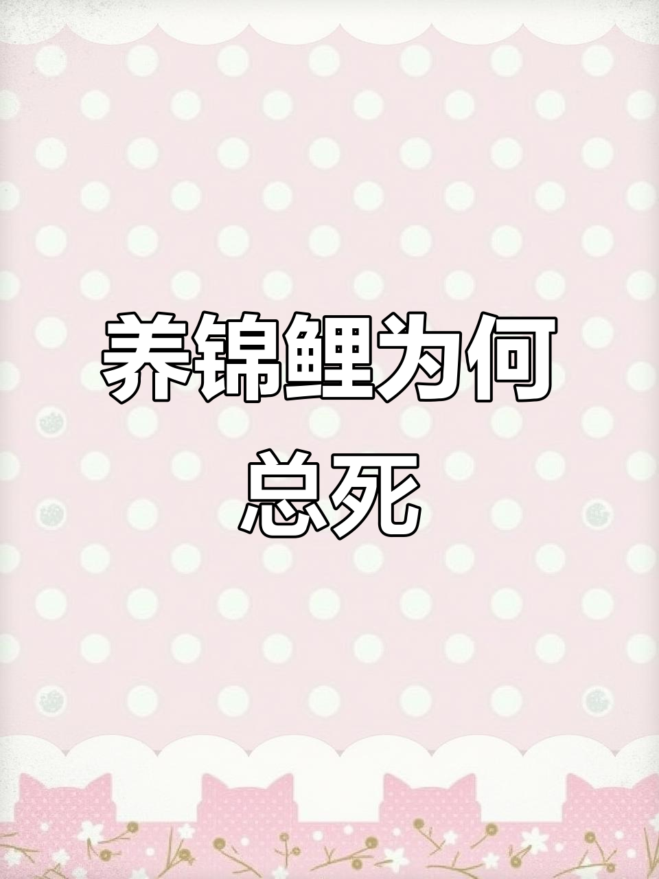 为什么鱼缸里的锦鲤总是养不活?换季就死,原因找到了吗