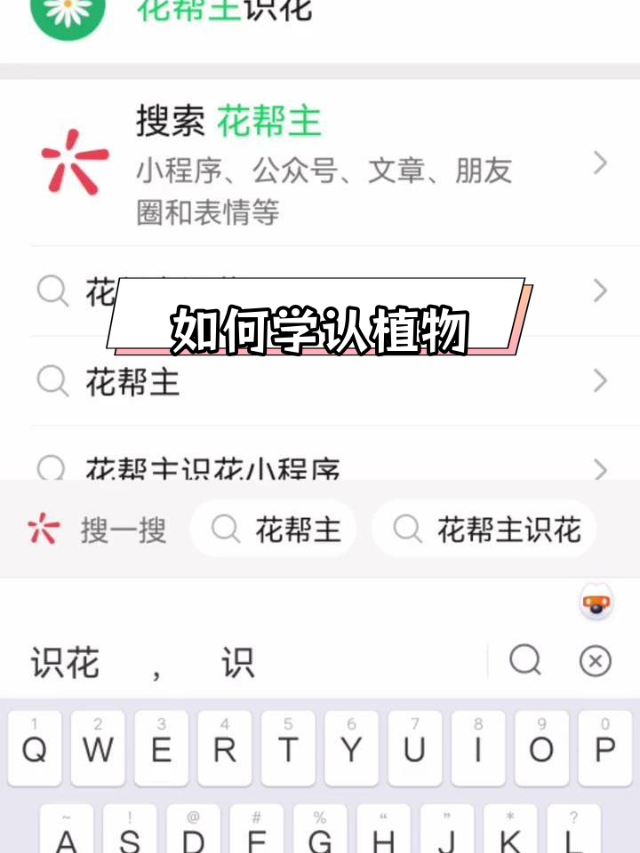 春季植物识别指南:如何快速学会认识花草树木