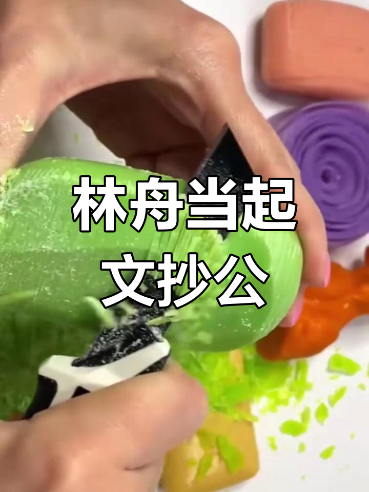 离婚冷静期,林舟意外成文抄公