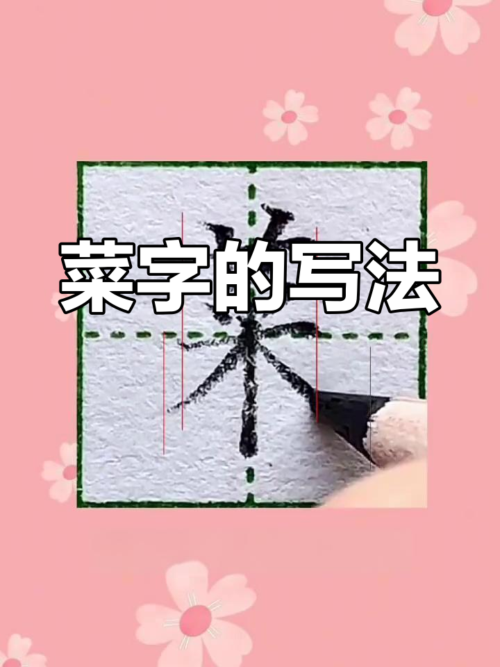 硬笔书法技巧:菜字书写规范