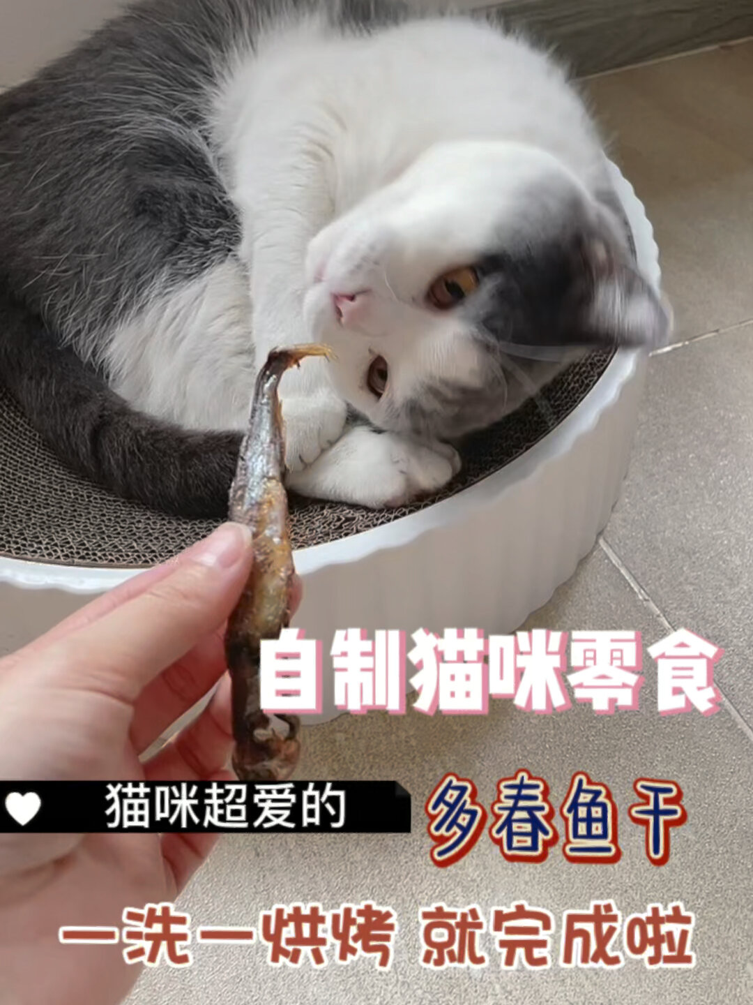 自制多春鱼干|嗷嗷好吃又简单的教程来咯
