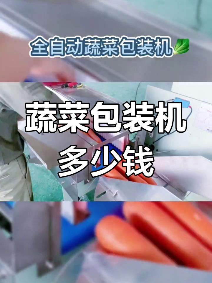 蔬菜包装机价格揭秘