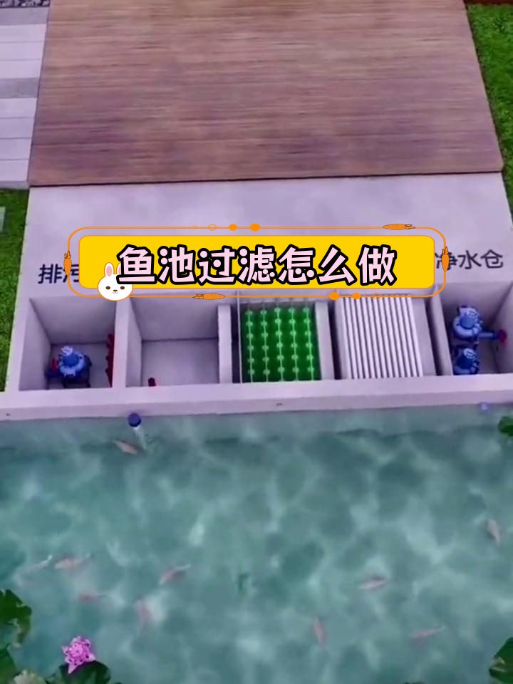 鱼池过滤系统搭建全攻略,轻松学会