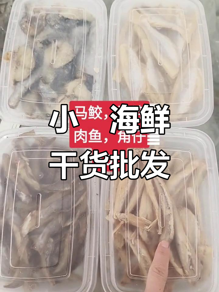 惠安小岞海鲜干货批发,新鲜鱿鱼品质保证