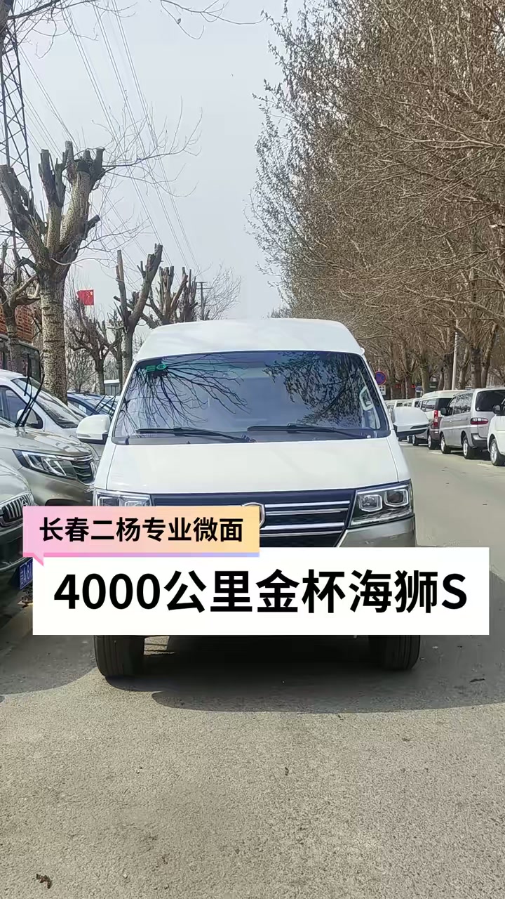 年4月2座厢货金杯海狮S