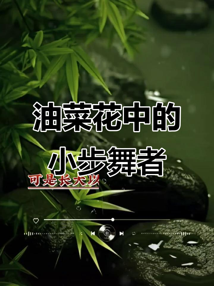 小女孩油菜花田中迈着小步伐,萌态十足