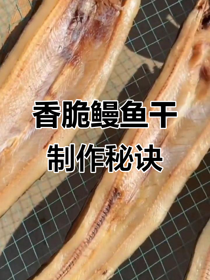 鳗鱼干做法大揭秘,简单几步做出美味佳肴