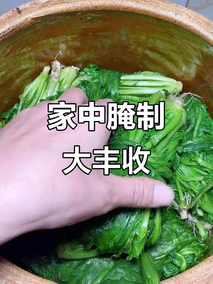 雪里红腌了一大缸,梅干菜也做了不少,老家丰收啦!