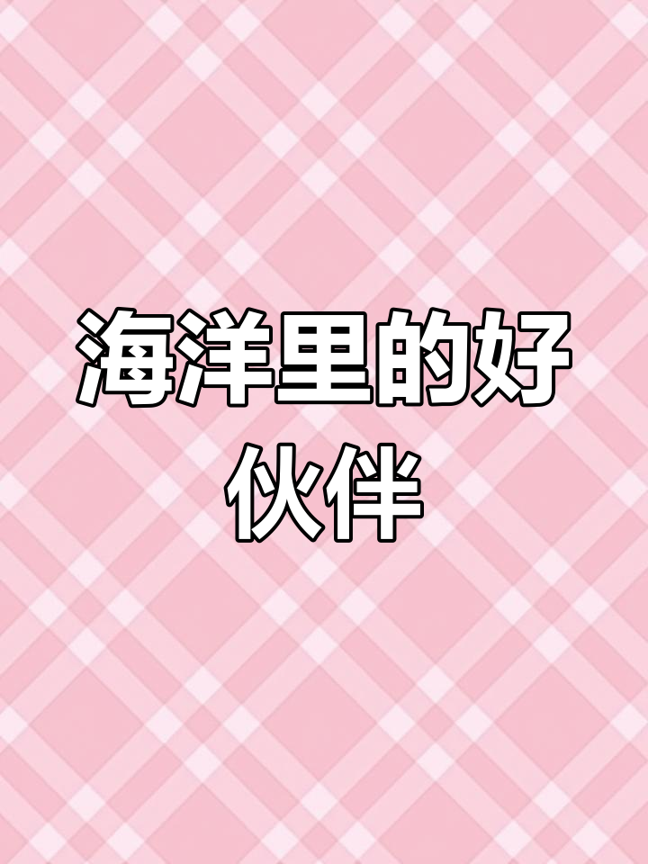 海龟小丑鱼与鲨鱼的友情故事,儿歌动画带你一起探险
