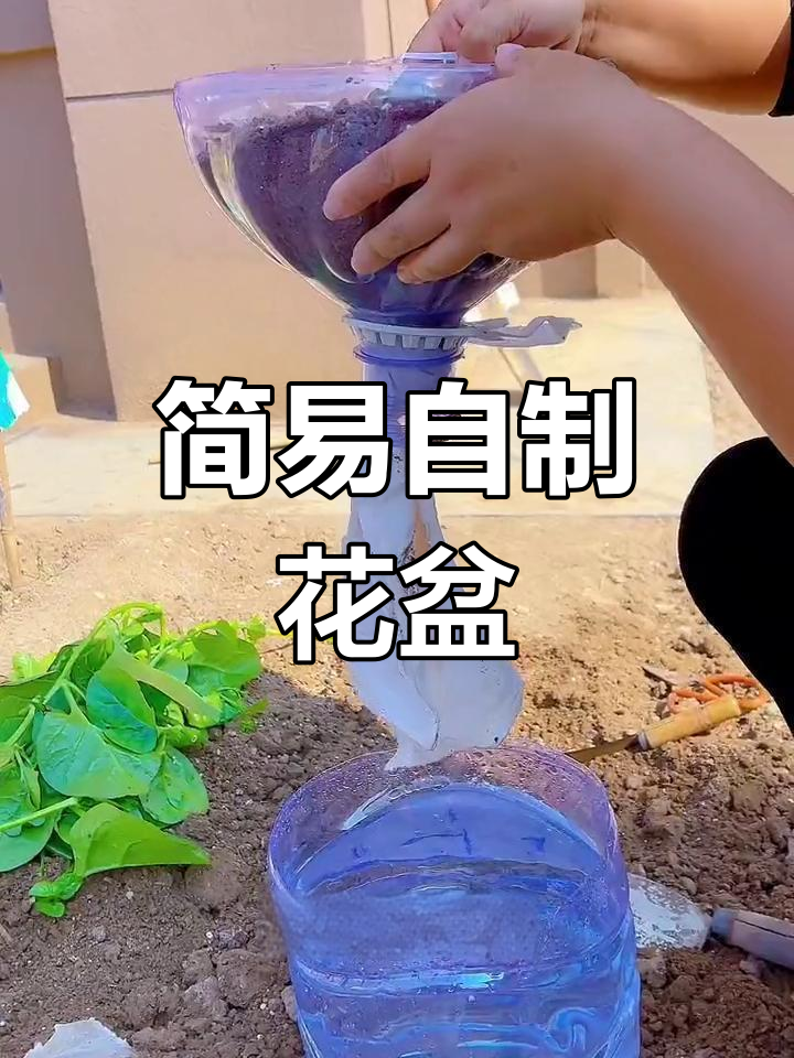 自制吸水式种菜盆,轻松种植蔬菜