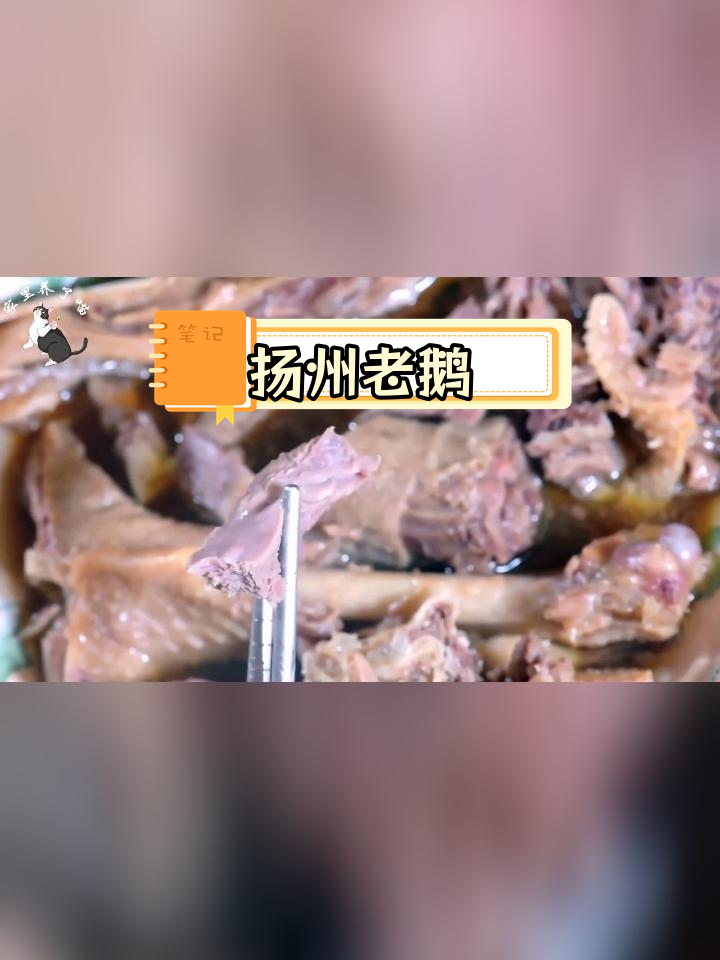 扬州盐水鹅,鲜美软嫩,卤汁浓郁
