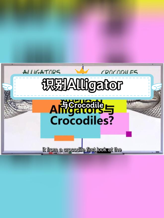 如何区分鳄鱼与短吻鳄