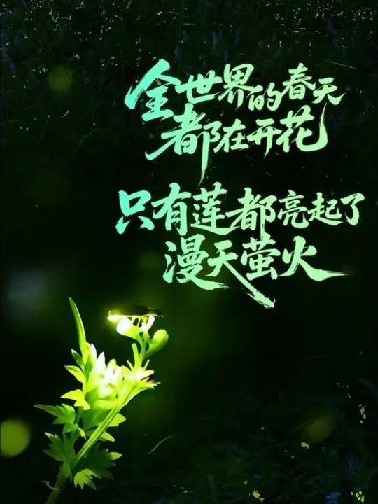 你见过会呼吸的星空吗?来丽水,赴一场萤火之约,邂逅暗夜精灵,遇见醉美生态丽水!#丽水文旅#