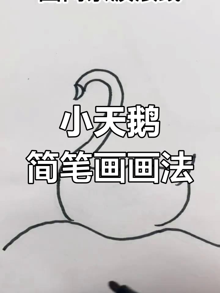 轻松几笔画出可爱小天鹅，快来一起动手画！