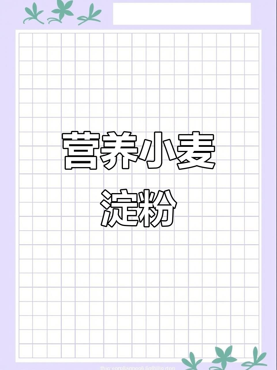 小麦淀粉,营养丰富,提供能量