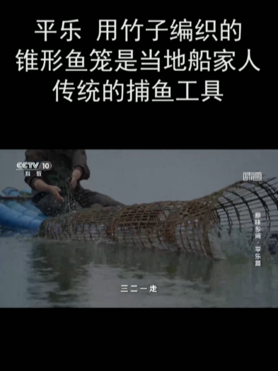 平乐 用竹子编织的锥形鱼笼是当地船家人传统的捕鱼工具