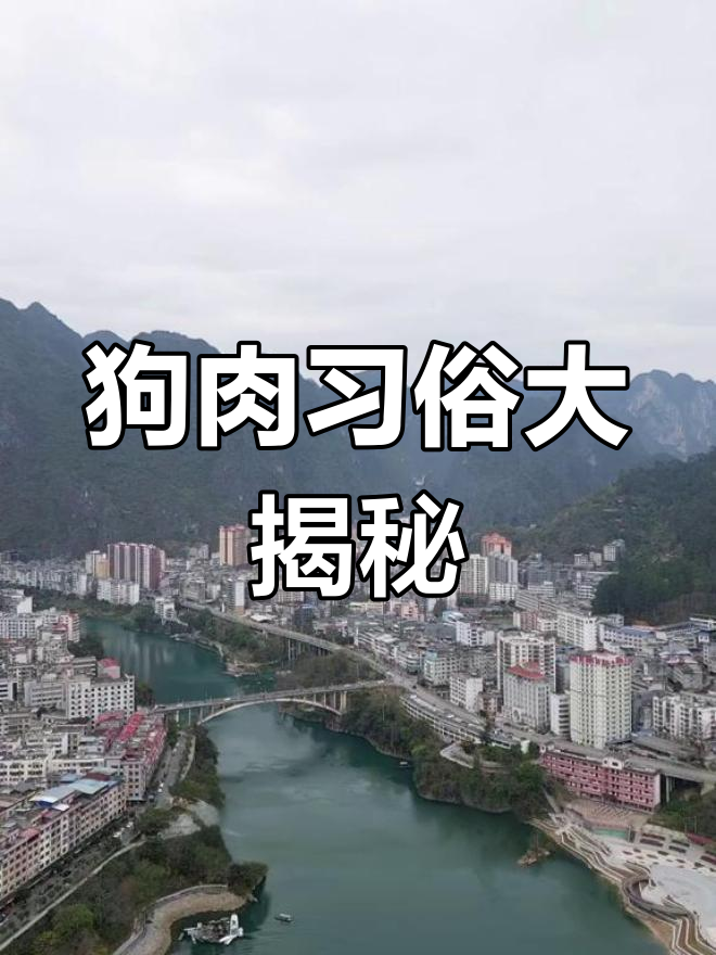 广西狗肉节与各地风俗,你接受吃狗肉的省份排名吗?
