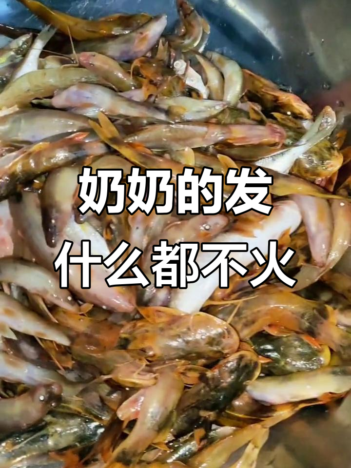 奶奶的乡村日常:捕捞小红尾巴鱼,搬砖干活两不误