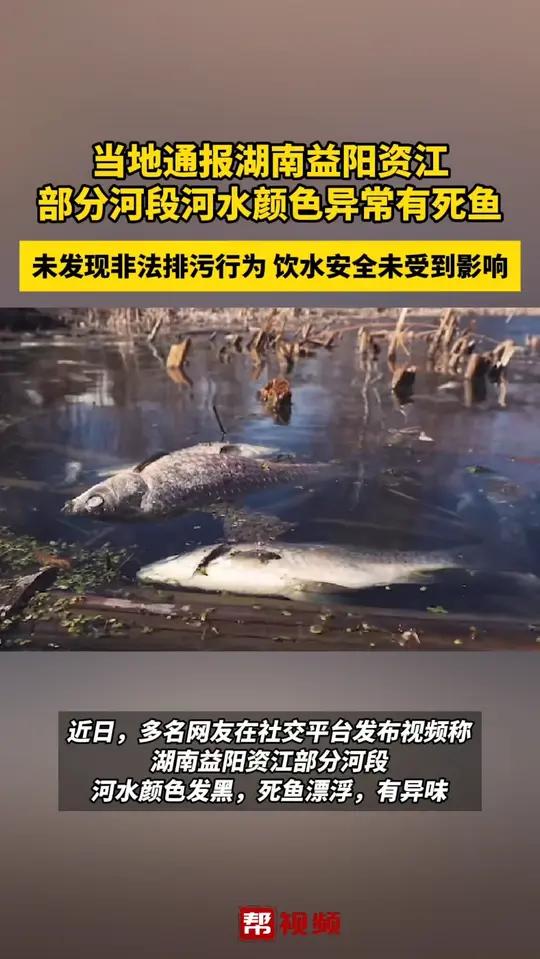 当地通报湖南益阳资江 部分河段河水颜色异常有死鱼 未发现非法排污行为 饮水安全未受到影响