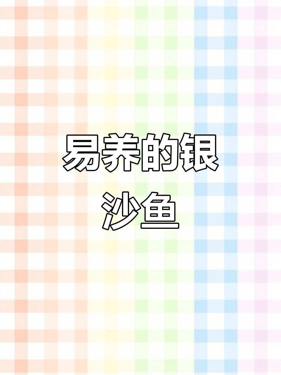 银沙观赏鱼:温和、易养,成长迅速,适合新手饲养