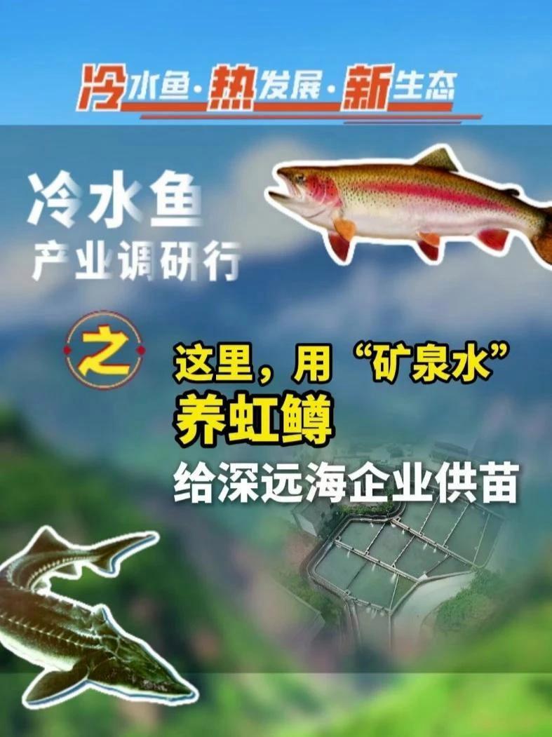 这里用矿泉水级别的水质孵苗养鱼,给深远海企业供苗,2025第二届中国冷水鱼产业链大会 10