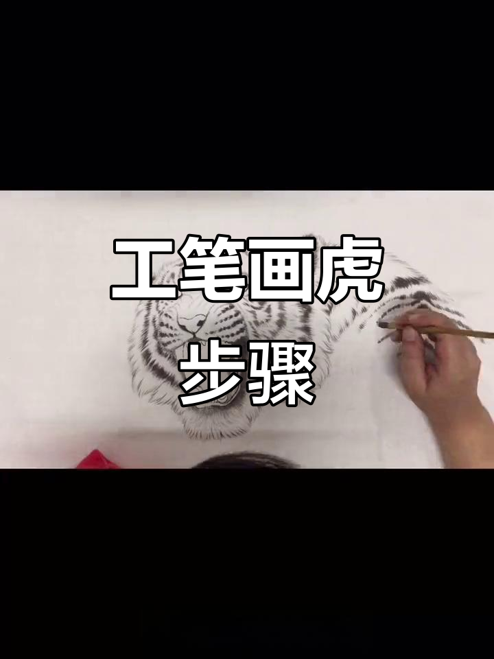 工笔老虎墨稿绘制技巧,从斑纹到毛发全解析