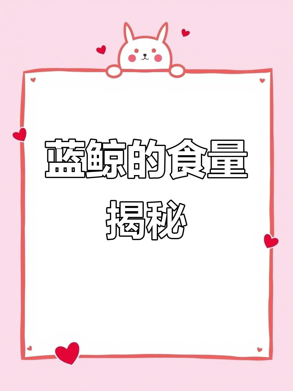 蓝鲸吃什么?它一顿能吞下多少食物,简直惊人!