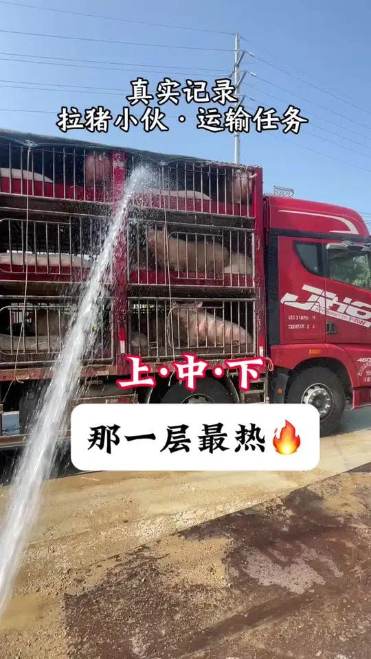 拉猪车的上中下三层二师兄,那一层最热?知道的打在评论区……