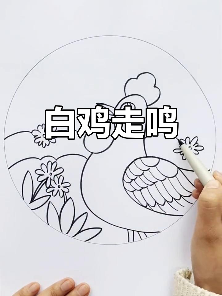 画鸡古诗配图,展现雪白雄姿