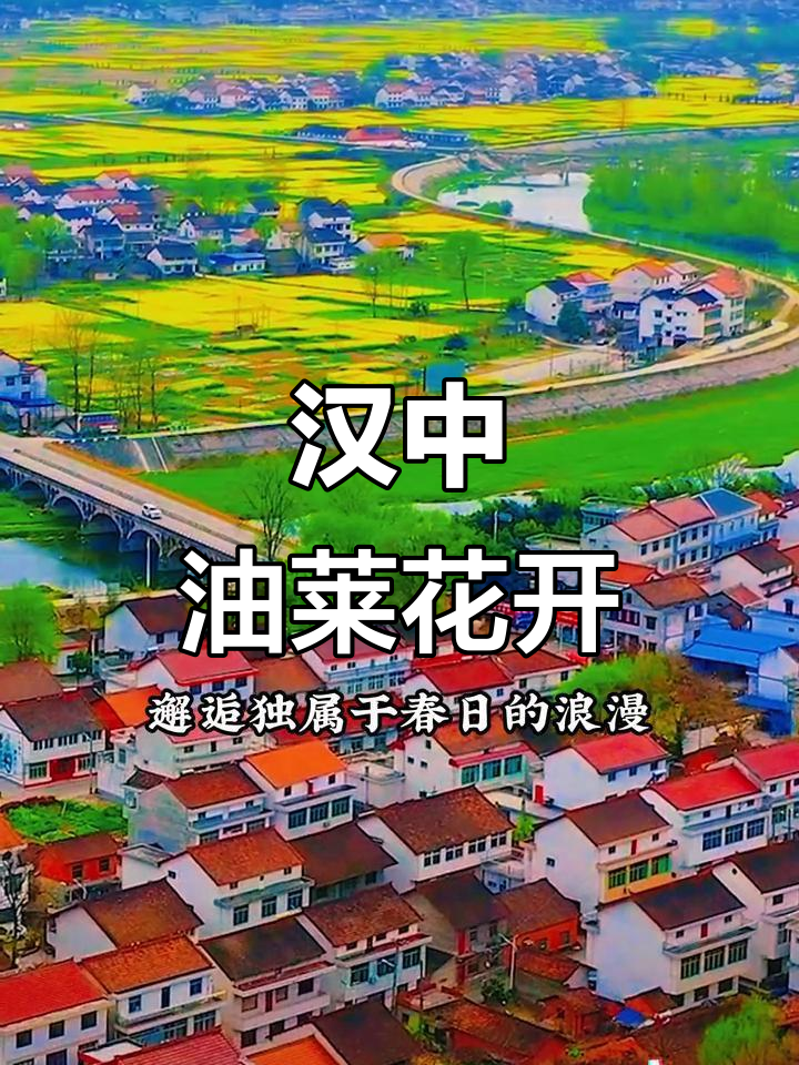 汉中油菜花盛开，今年春天浪漫之旅等你来开启