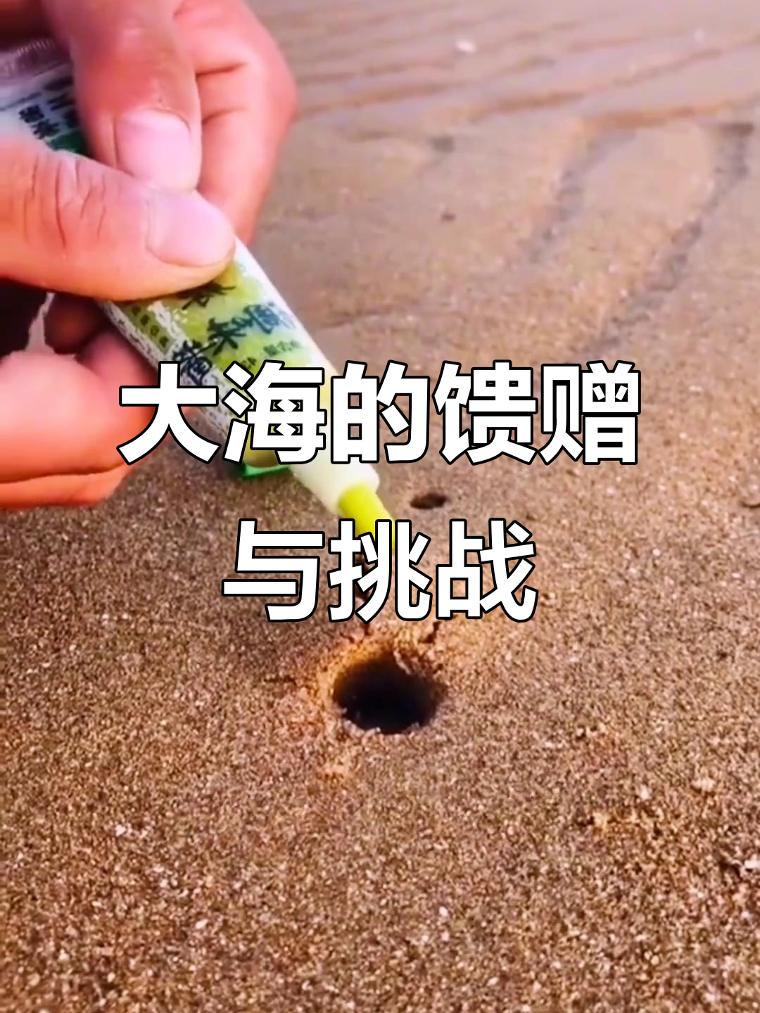 赶海抓蟹大作战,面包蟹怪和琵琶虾来袭!