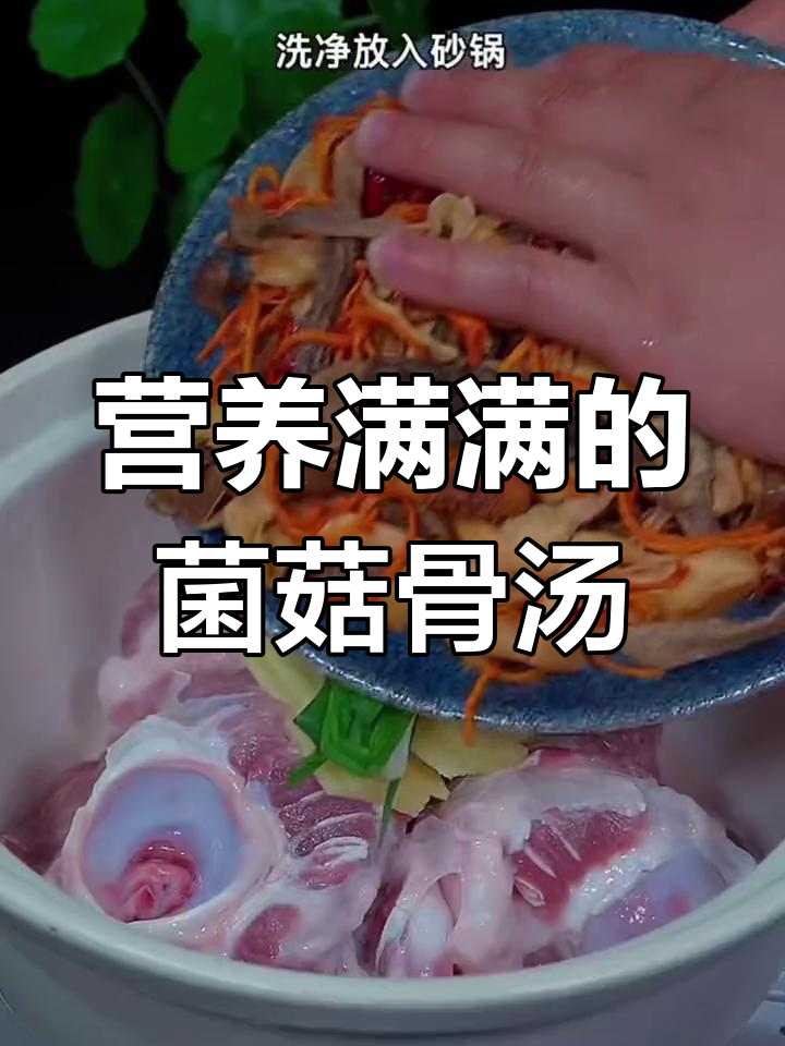 秋季养生汤,菌菇骨头汤的做法