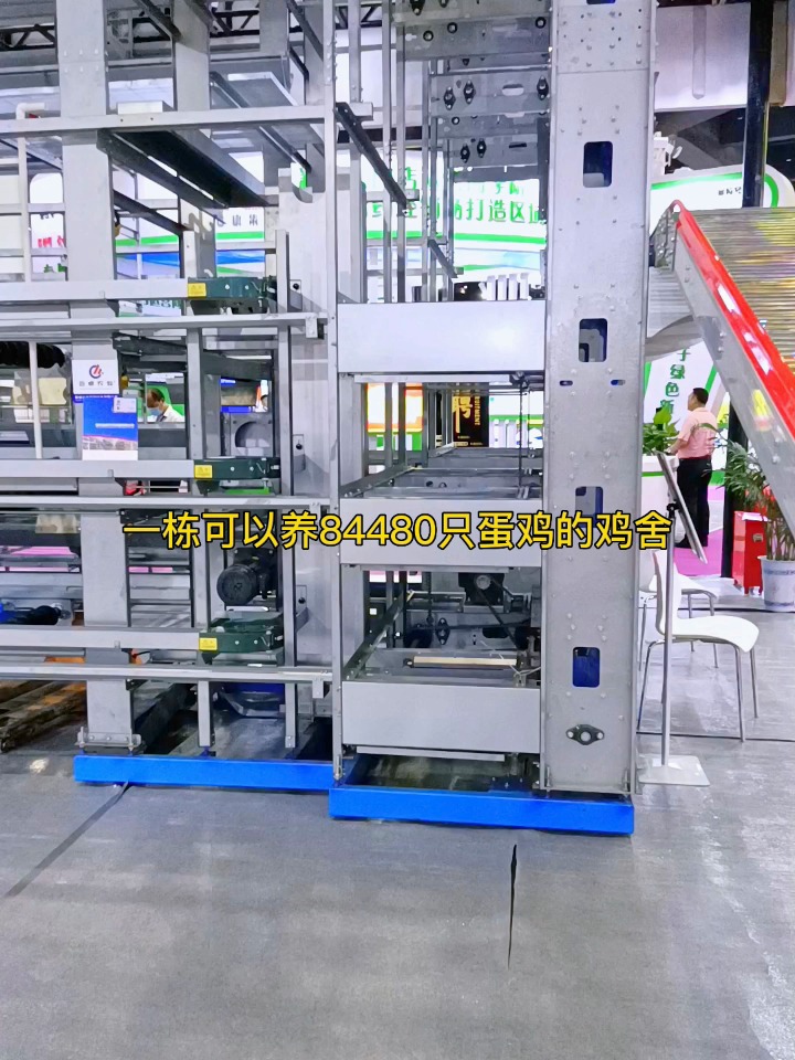 可以养八万只蛋鸡的自动化养殖设备!