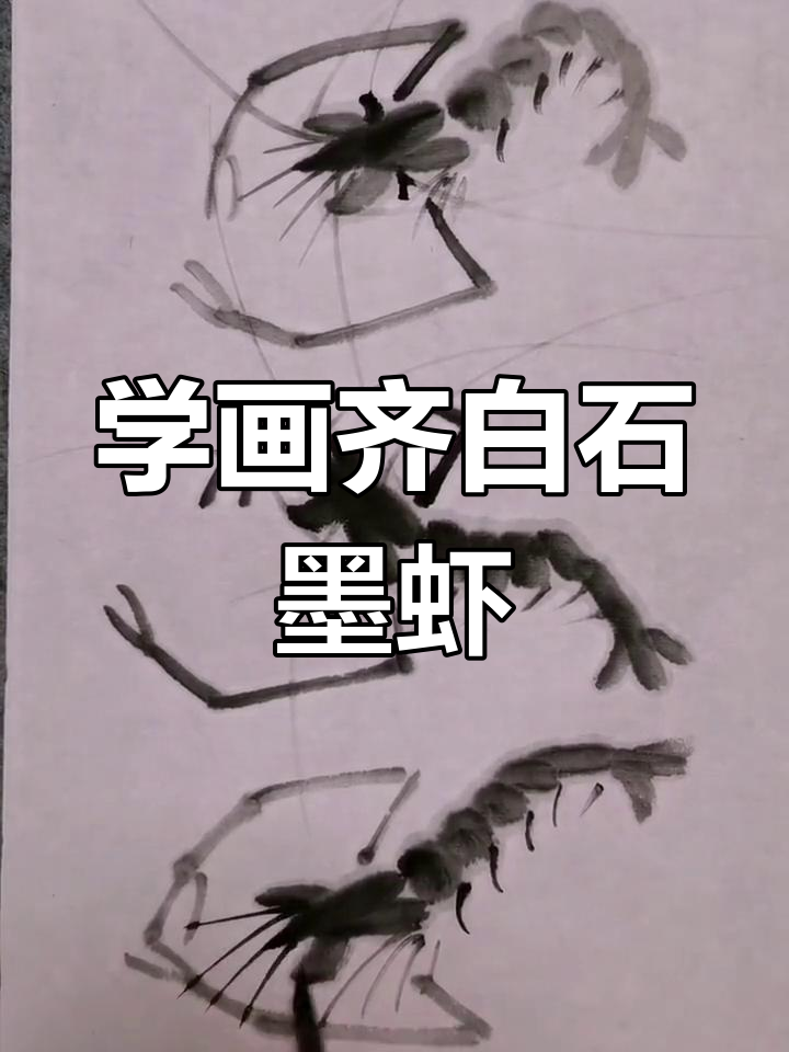 齐白石墨虾画法全解析，轻松掌握水墨技巧