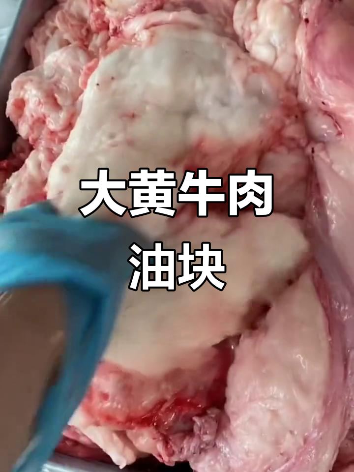 本地大黄牛油块,四斤一包,包子烧烤都能用