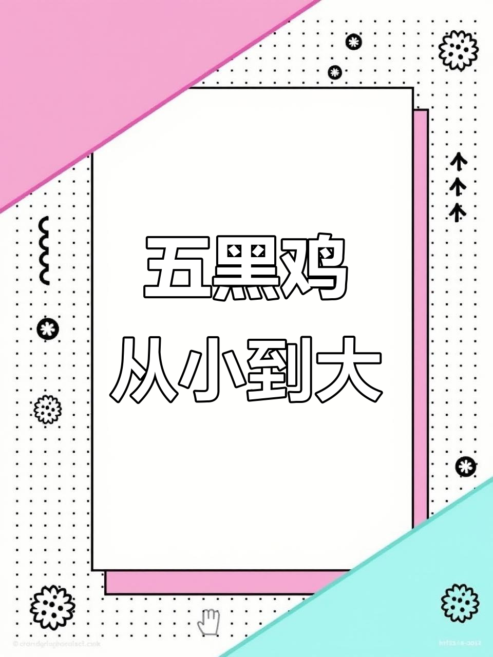 从蛋到成鸡,五黑杂土鸡的成长故事