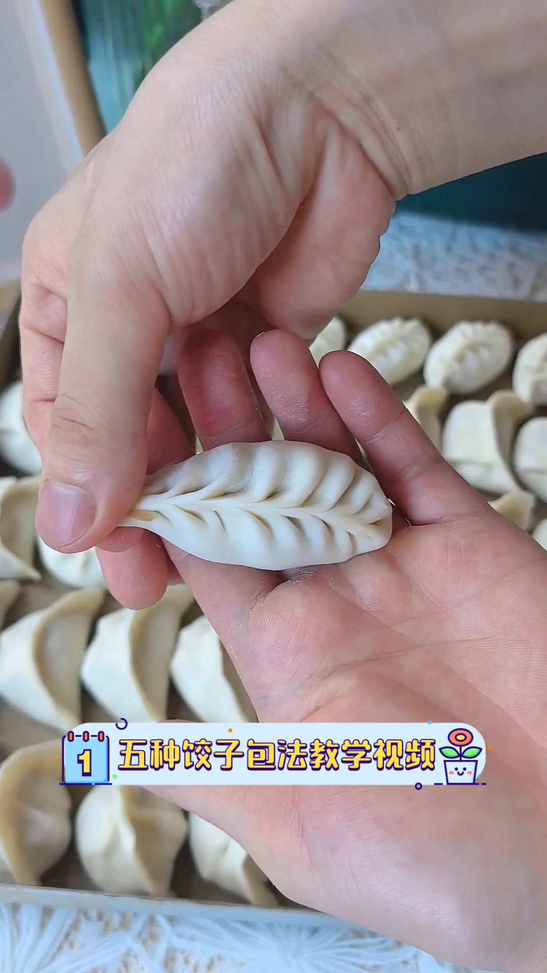五种饺子包法教学视频