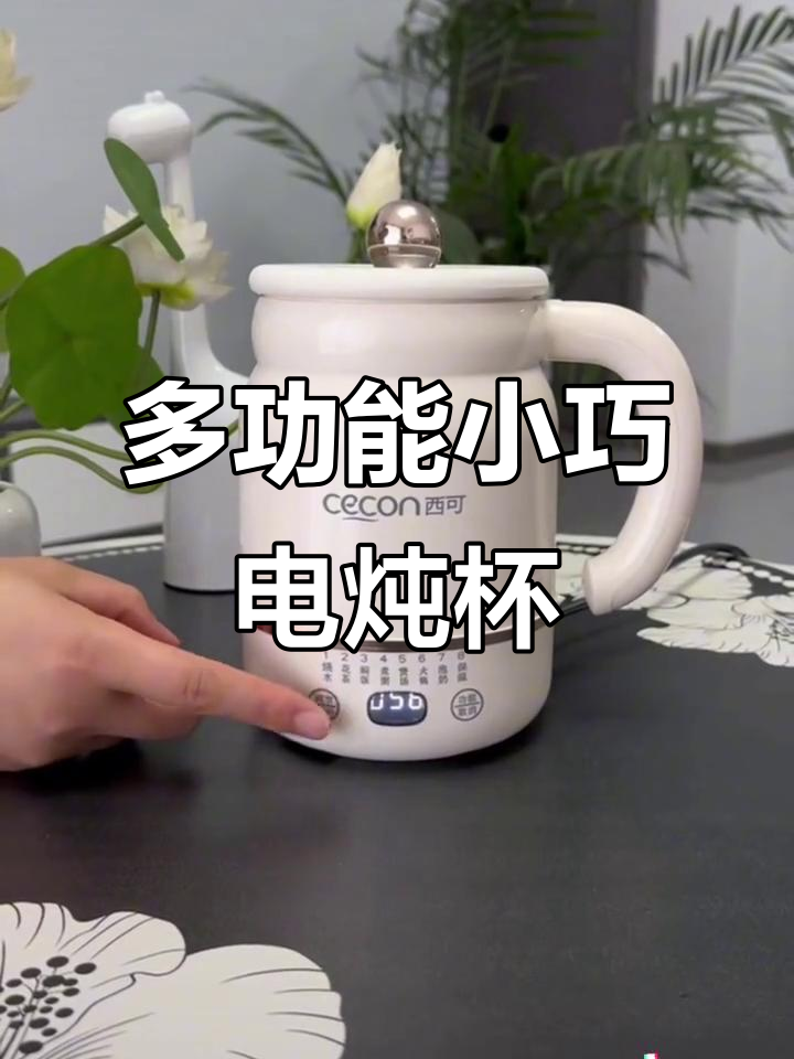 小巧电炖杯,烧水煮面、煲汤样样行!宿舍神器让你轻松搞定一餐