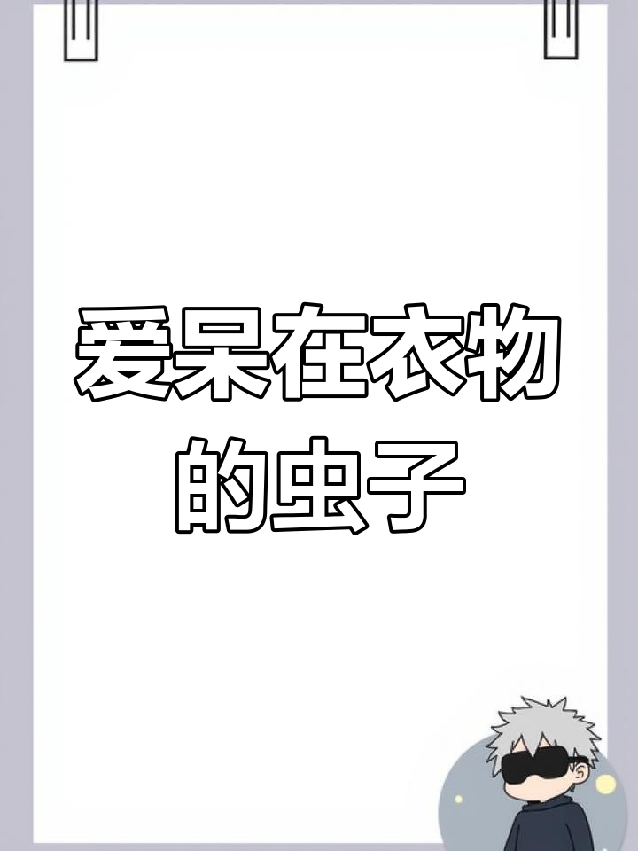 喜欢藏在衣服里的皮蠹虫