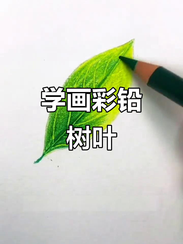 彩铅画叶子,简单又好看!教你一步步画出层次感