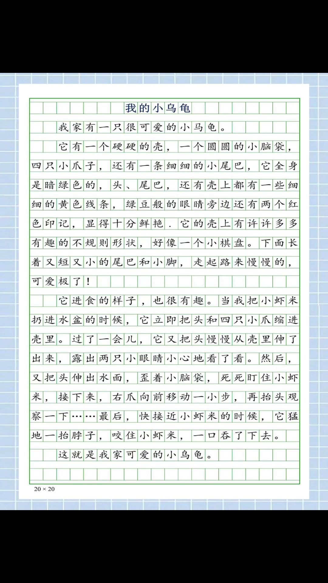 三年级作文